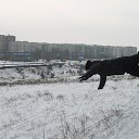 ���� ������, �������, 32 ���� - ��������� 1 ���� 2014