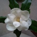 ���� �������, �������, 54 ���� - ��������� 8 ������� 2014 � ������ ������ ��������