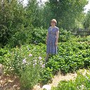 ���� ����, ���������, 63 ���� - ��������� 21 ���� 2014 � ������ �߻