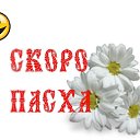 ���� ��������, ������ - ��������� 7 ������ 2014 � ������ ���� ����������
