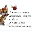 ���� ��������, ������� - ��������� 5 ��� 2014 � ������ ������ ��������