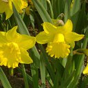 ���� ������� ,���� �����, ����� - ��������� 12 ��� 2014 � ������ �����