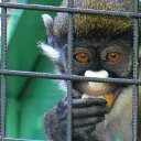 ���� ���������, ������, 63 ���� - ��������� 12 ���� 2014 � ������ ������ ��������