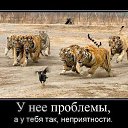 ���� ������, �����, 52 ���� - ��������� 11 ��� 2014 � ������ ������ ��������