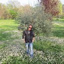 ���� �������, �������, 53 ���� - ��������� 2 ������ 2014 � ������ �Primavera�