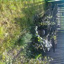 ���� ������, �������, 52 ���� - ��������� 5 ������� 2014 � ������ ���� ����������