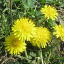 ���� �������, ������ - ��������� 8 ���� 2014 � ������ ���� ����������