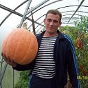 ���� �������, �����, 50 ��� - ��������� 30 ���� 2014 � ������ ���� ����������