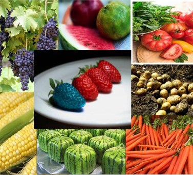 Чёрный список производителей ГМО-продуктов по данным Гринпис /Greenpeace/: № Продукты питания ...