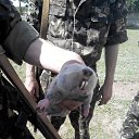 ���� ���������, ��������, 50 ��� - ��������� 5 ���� 2014 � ������ �����������߻