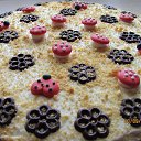 ���� ����, ����, 43 ���� - ��������� 5 ������� 2014 � ������ ������� ������