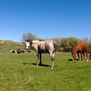 ������� �����... �� ������� ������ ��������