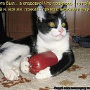 ���� ����, ���, 72 ���� - ��������� 27 ���� 2014 � ������ ������ ��������