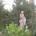 ���� �������, ���������, 73 ���� - ��������� 10 ������� 2014 � ������ ���� ����������