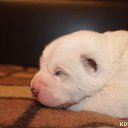 ���� ������, ������� - ��������� 10 ���� 2014 � ������ ������ ��������