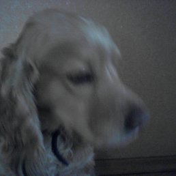 ����, ������, 21 ���