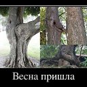 ���� Alex, �����-��������� - ��������� 23 ������ 2014 � ������ ������ ��������