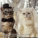 ���� ����, ���������, 46 ��� - ��������� 28 ���� 2014 � ������ ������ ��������