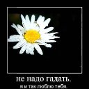 ���� �������, ��������� - ��������� 12 ������ 2014 � ������ ������ ��������