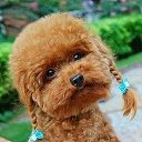 ���� �����, �����-��������� - ��������� 18 ������� 2014 � ������ ������ ��������