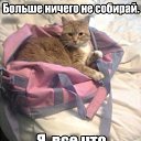 ���� ������� ���������, ������ - ��������� 22 ������ 2014 � ������ ������ ��������