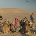 ���� �������, ��������, 54 ���� - ��������� 20 ���� 2014