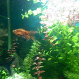 ������, �������, 59 ���