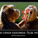 ���� �����, ������, 51 ��� - ��������� 31 ��� 2014 � ������ ������ ��������