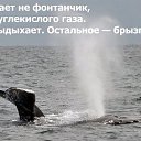 ���� �, ������ - ��������� 5 ������ 2014 � ������ ������ ��������