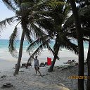  , , 41  -  29  2014   ~    @ ~