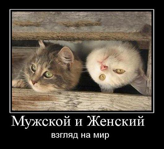 ����� - 6 ���� 2014 � 23:23
