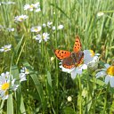  ++, , 55  -  10  2014     