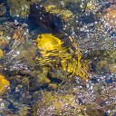  , , 46  -  12  2014       5-7  2014