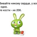 ���� ��������, ������� - ��������� 3 ��� 2014 � ������ ������ ��������