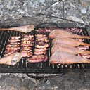 ���� ����, �������, 62 ���� - ��������� 21 ��� 2014 � ������ ���� ����������