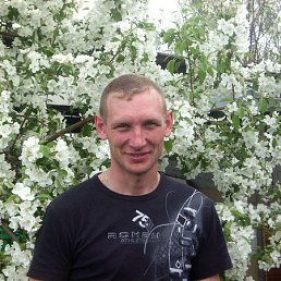 ���� ����, ������, 41 ��� - ��������� 20 ������� 2014