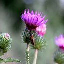  Ww, --, 75  -  21  2014   