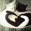 ���� ������, ����� - ��������� 8 ���� 2014 � ������ ���� ����������