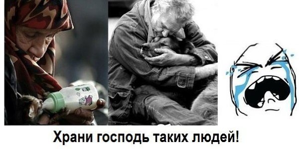 .•°Dogs Forever°•. - 30  2014  18:56