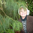 ���� ������, �����-���������, 64 ���� - ��������� 15 ������ 2014 � ������ ���������