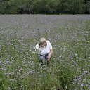 ���� ���������, ���� - ��������� 12 ���� 2014 � ������ ���� ����������