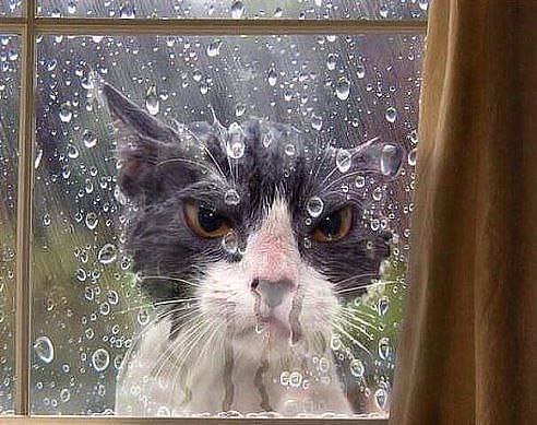 ... ����� ������ �������� ....... ������ ����� ��������� .....