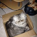 ���� �������, ��������� - ��������� 13 ��� 2014 � ������ �:)�