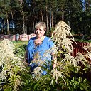  , , 68  -  22  2014    2014