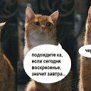 ���� ����, ������ - ��������� 16 ����� 2014 � ������ ������ ��������