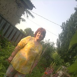 ���� ������, ������������, 66 ��� - ��������� 1 ���� 2014