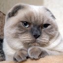 ���� �������, ���� - ��������� 16 ������ 2014 � ������ ���� ����������