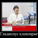 ���� ������, ������ - ��������� 4 ������� 2014 � ������ ������ ��������