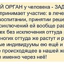 ���� ������, ������ ������� - ��������� 4 ������ 2014 � ������ ������ ��������