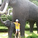 ���� ����*, ���� - ��������� 26 ������ 2014 � ������ ���� ����������